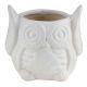 Handmade White Owl Ceramic Pot And Planter