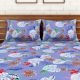 Spaces 104 TC Cotton Double Bed Sheet with 2 Pillow Covers In Blue