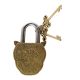 Brass Lion Shape Lock with Keys