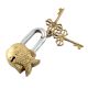 Brass Golden Fish Padlock Lock With Skeleton Keys