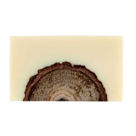 Cream Knot Resin Knob