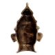 Lord Shiva Head Brass Tribal Hindu Mukhalingam Statue