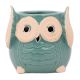 Teal Blue Painted Owl Ceramic Pot Planter