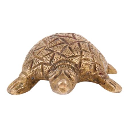 Handmade Golden Brass Turtle Figurine Showpiece