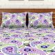 Spaces 104 TC Purple Cotton Double Bed Sheet with 2 Pillow Covers