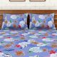 Blue Spaces 104 TC Cotton Double Bed Sheet with 2 Pillow Covers