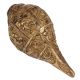 Brass Engraved Conch Shell Decor Ornament In Golden Finish