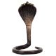 Brass Snake Shivling Arpan Naag