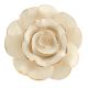 Cream Golden Rose Ceramic Cabinet Knobs