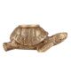 Brass Turtle Candle holder