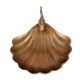 Brass Scalloped Shell Trinket Dish With Fish Motif