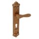 Golden Brass Mortise Handle For Exterior Doors