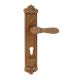 Golden Brass Mortise Handle For Exterior Doors