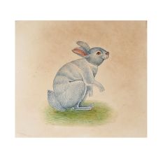 233X220-57871Miniature-Bunny-