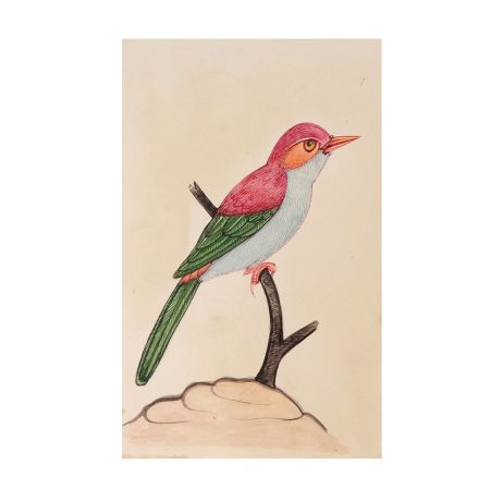 Colorful Cute Bird Miniature Watercolor Painting
