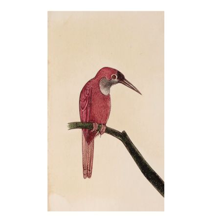 Pink Bird On Branch Miniature Painting