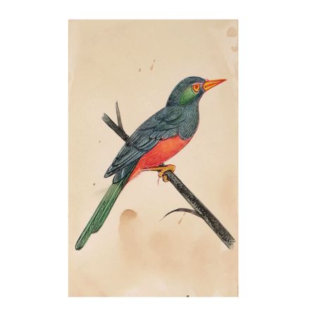 Miniature Painting Of Blue Bird Forest Nature