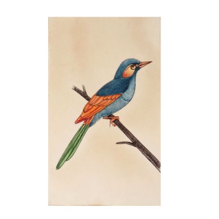 Miniature Colorful Bird Watercolor Canvas Painting