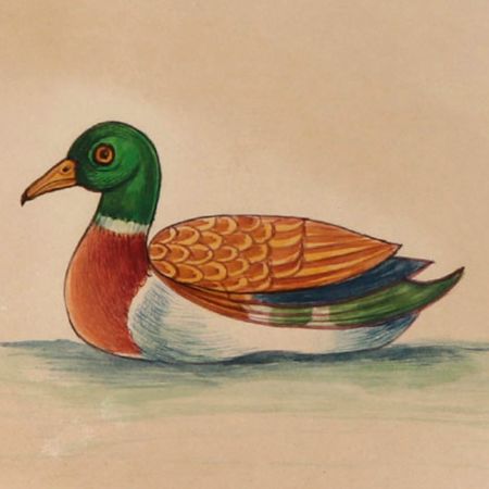 Miniature Wild Duck In Water Watercolor Painting