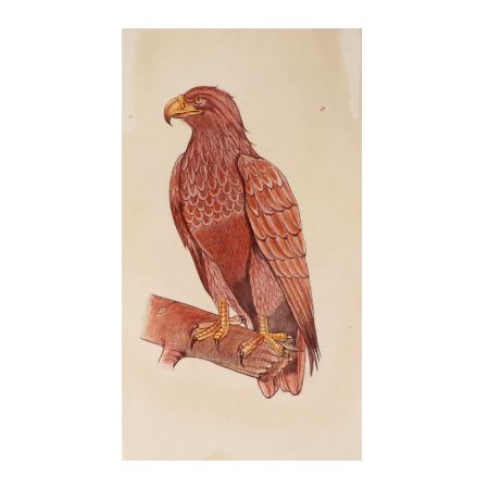 Miniature Wildlife Eagle Bird Watercolor Painting
