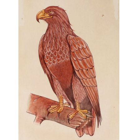Miniature Wildlife Eagle Bird Watercolor Painting