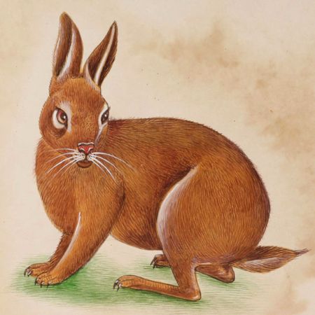Brown Rabbit Canvas Water Color Painting