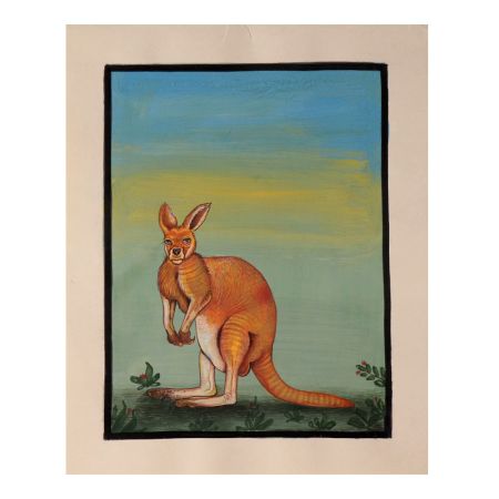 Watercolor Painting of an Australian Red Kangaroo