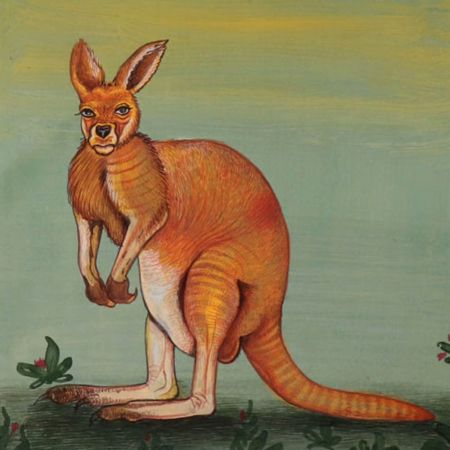 Watercolor Painting of an Australian Red Kangaroo