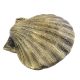 Antique Sea Shell Iron Door Knocker