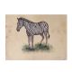 Zebra Unframed Watercolor Painting
