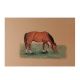 Watercolor Painting Of A Horse Grazing The Field