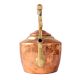 Brass Kettle with Goose Neck Spout In Hand Hammered Finish