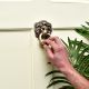 Brass Majestic Lion Door Knocker