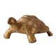 Small Brass Turtle Figurine Gift