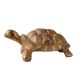Small Brass Turtle Figurine Gift