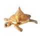 Brass Turtle Yantra Figurine in Elegant Golden Finish