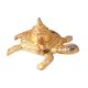 Brass Turtle Yantra Figurine in Elegant Golden Finish