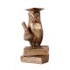 Brasss Wise Owl Staue with Diploma And Books