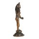 Vintage Brass Radha Rani Statue in Black Finish