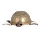 Engraved Brass Turtle Statue For Good Luck