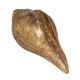 Brass Engraved Conch Shell for Pooja