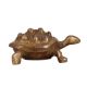 Lovely Brass Turtle for Home Decoration