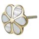 Pack of 6 Pieces Alyssum Flower Brass Shell Cabinet Knob