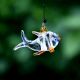 Assotrted Multicolor Glass Fish Christmas Tree Decorations Ornament Set of 10 Pcs
