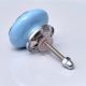 Turquoise Strewn Flat Knob
