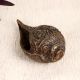 Himalayan Art Finest Brass Shell for Prayer and Decoration