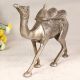 Shiny Handmade Brass Camel Statue in Silver Finish for Decor