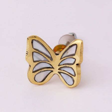 Modern Beautiful Mother of Pearl and Brass Knob for Decoration