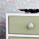 Sea Green Cream Sea Shell Dresser Knob