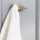 Dinosaur Aluminium Golden Heavy Duty Wall Hook